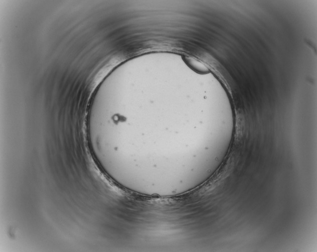 X0000102380906200808221759