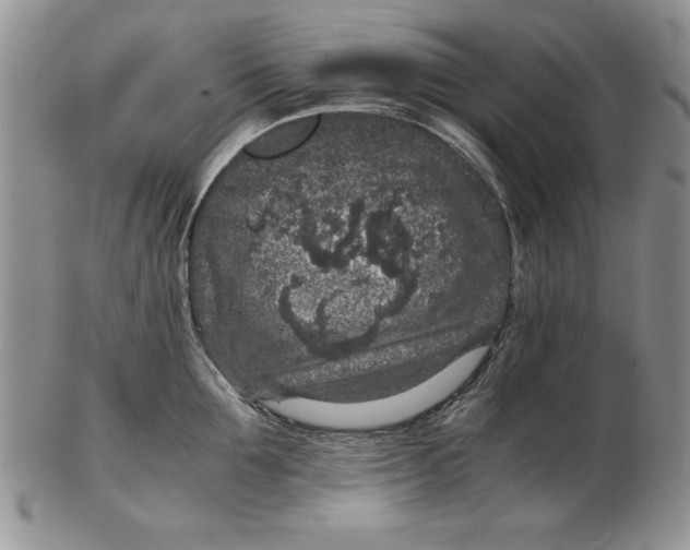 X0000102380907200808221759