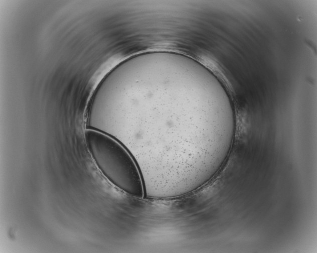 X0000102380908200808221759