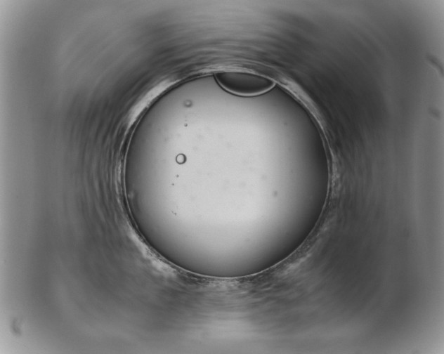 X0000102380909200808221759