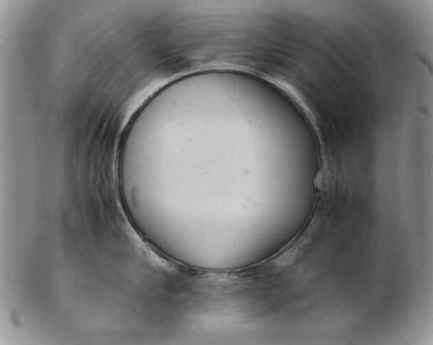 X0000102380910200808221759