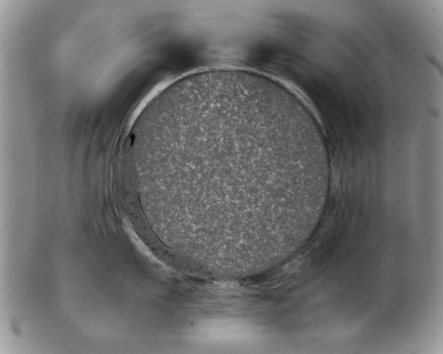 X0000102380911200808221759