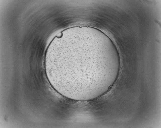 X0000102380912200808221759