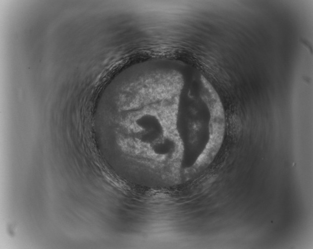 X0000102380913200808221758