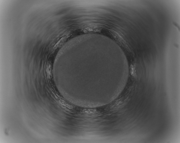 X0000102380915200808221758