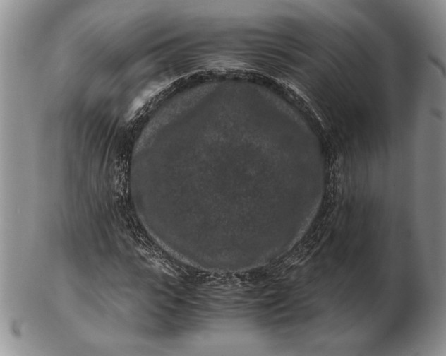 X0000102380919200808221758