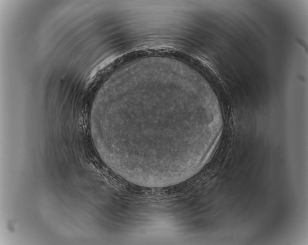 X0000102380920200808221758