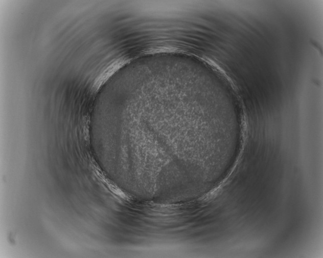 X0000102380921200808221758