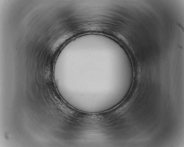 X0000102380922200808221758