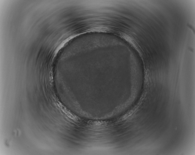 X0000102380923200808221758