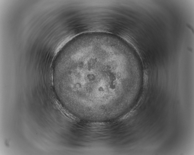 X0000102380925200808221758