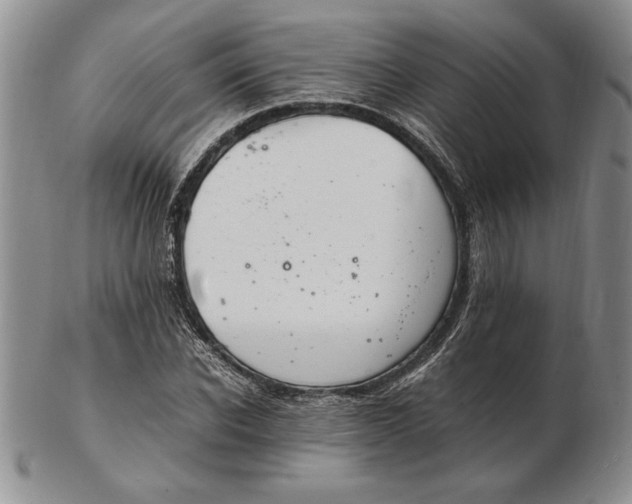 X0000102380926200808221758