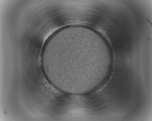 X0000102380928200808221758