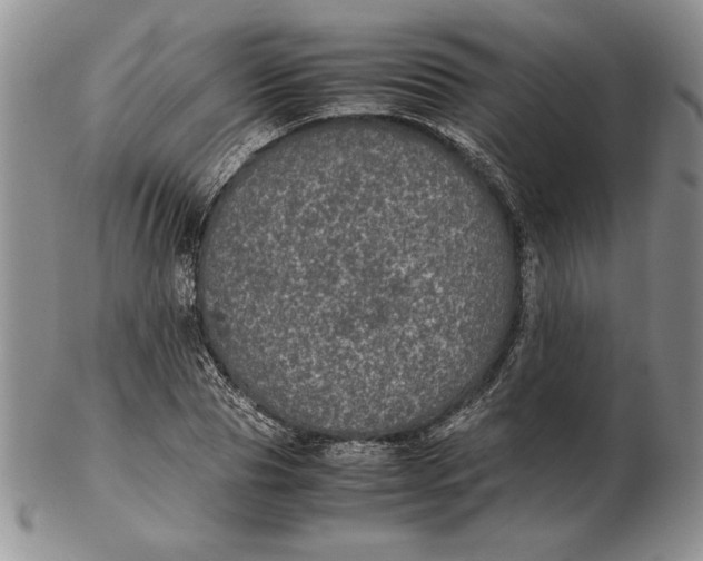 X0000102380929200808221758