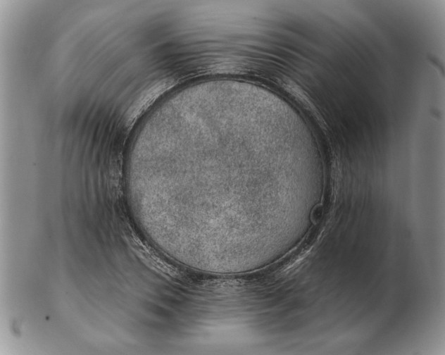 X0000102380930200808221759