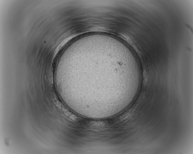 X0000102380931200808221759