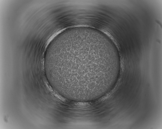 X0000102380933200808221759