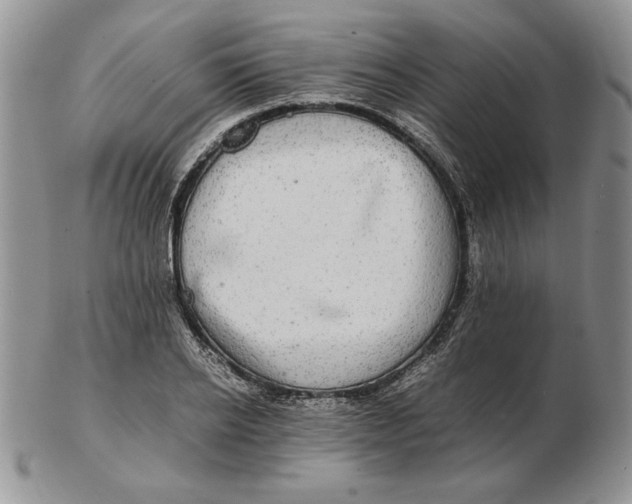 X0000102380934200808221759