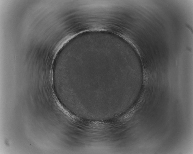 X0000102380935200808221759