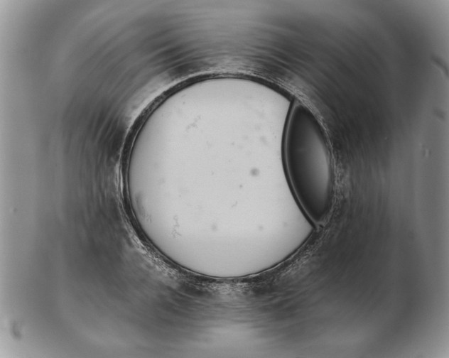 X0000102380936200808221759