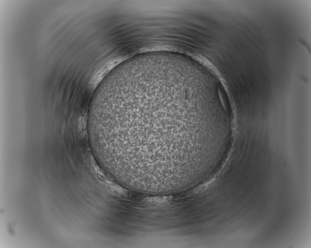 X0000102380937200808221759