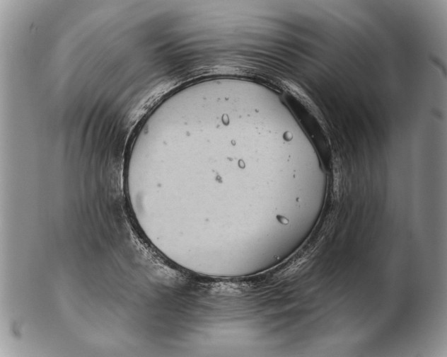 X0000102380938200808221759