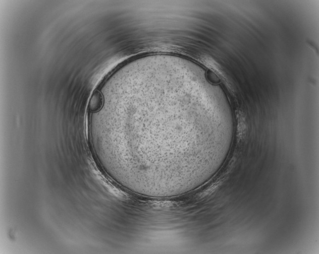 X0000102380940200808221759