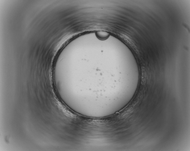 X0000102380942200808221759