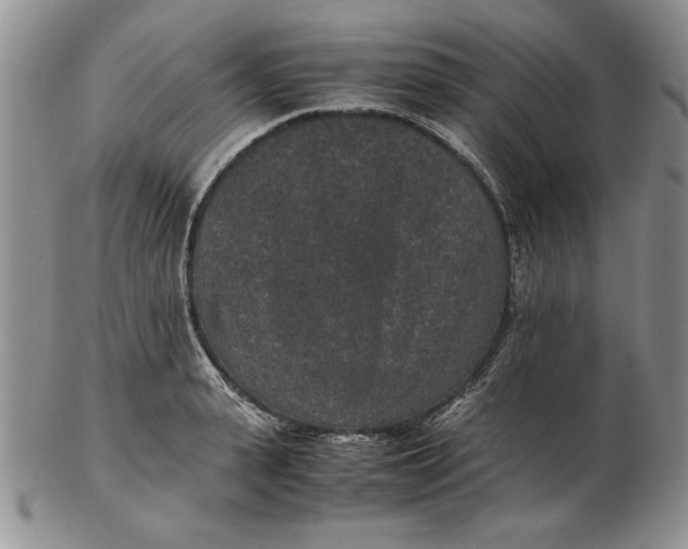 X0000102380943200808221759