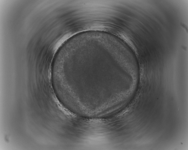 X0000102380944200808221759