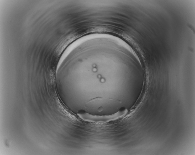 X0000102380945200808221759