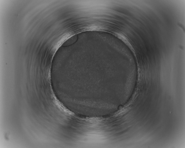 X0000102380946200808221759