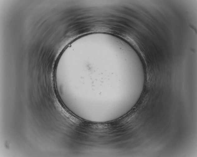 X0000102380947200808221759