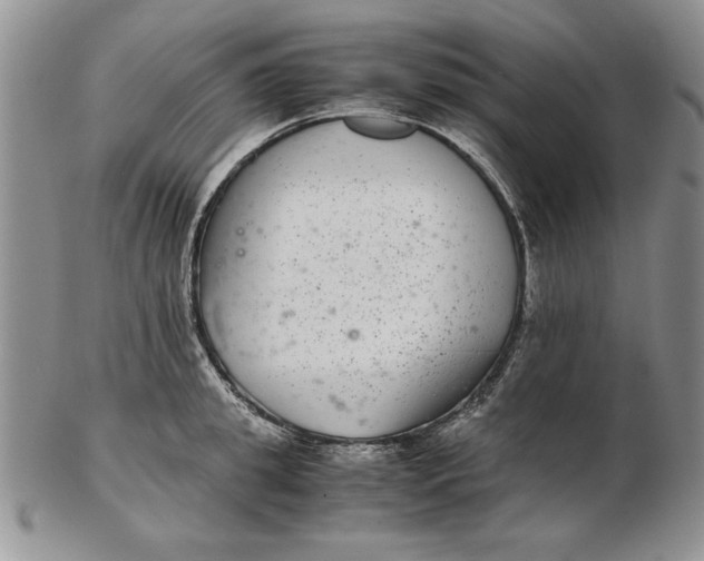 X0000102380949200808221759