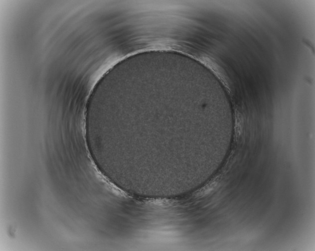 X0000102380950200808221759