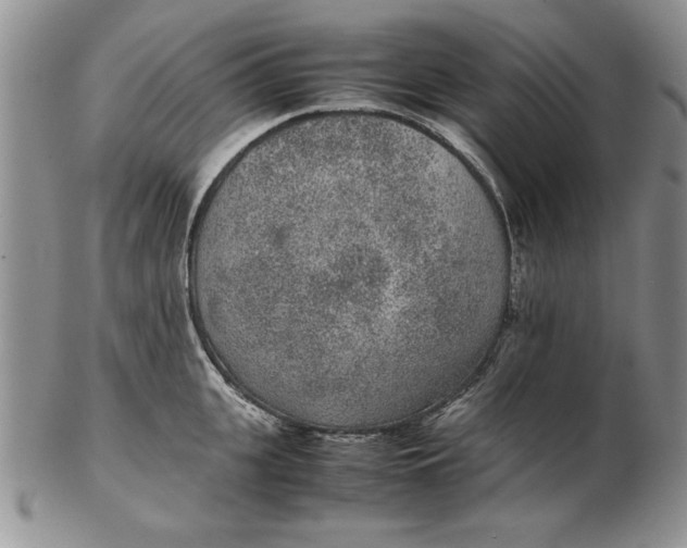 X0000102380951200808221759