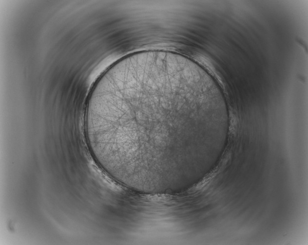 X0000102380952200808221759