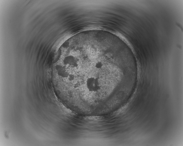 X0000102380953200808221759