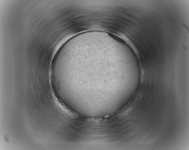 X0000102380955200808221759