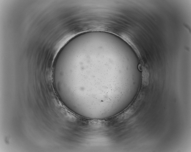 X0000102380956200808221759