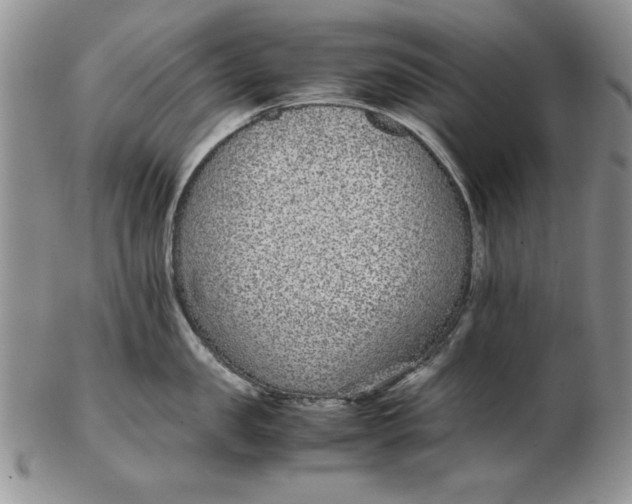 X0000102380957200808221759