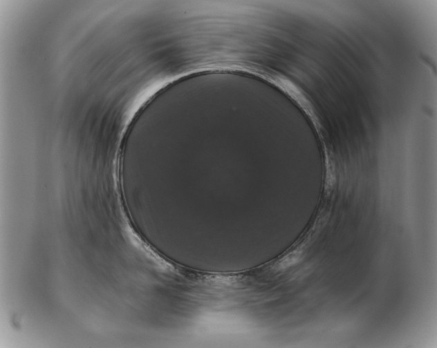 X0000102380958200808221759