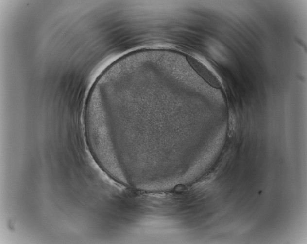 X0000102380959200808221759