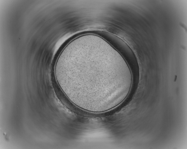 X0000102380960200808221759