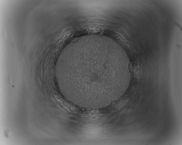 X0000102380961200808221758