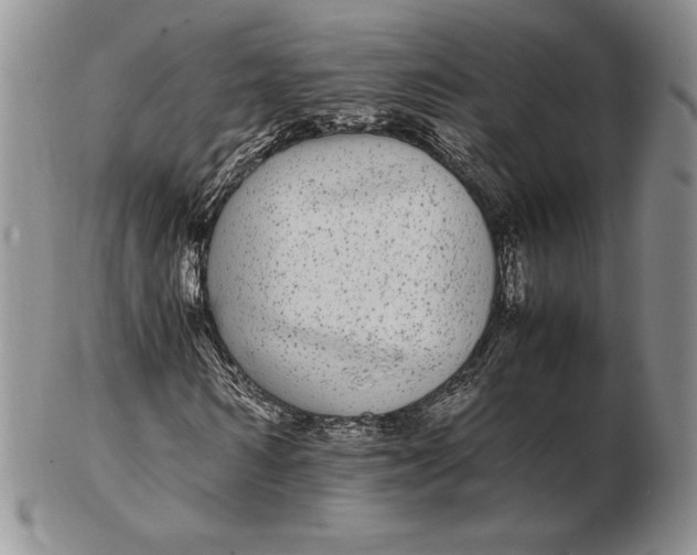 X0000102380962200808221758