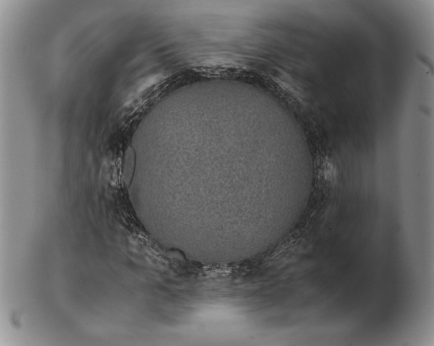 X0000102380965200808221758