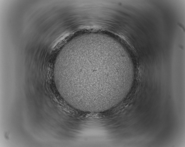 X0000102380967200808221758