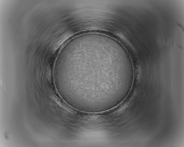 X0000102380969200808221758