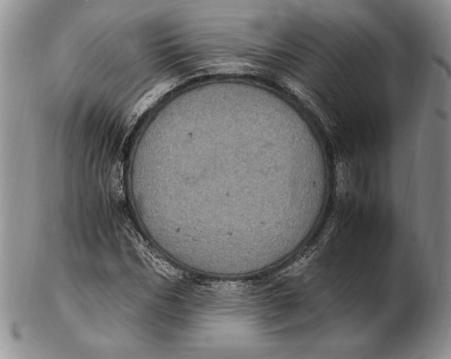 X0000102380970200808221758